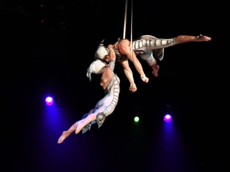 Le spectaculaire « OVO » du Cirque du Soleil arrive à DC